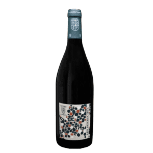 Domaine Béatrice et Pascal Lambert - Chinon rouge Les Perruches - 2020